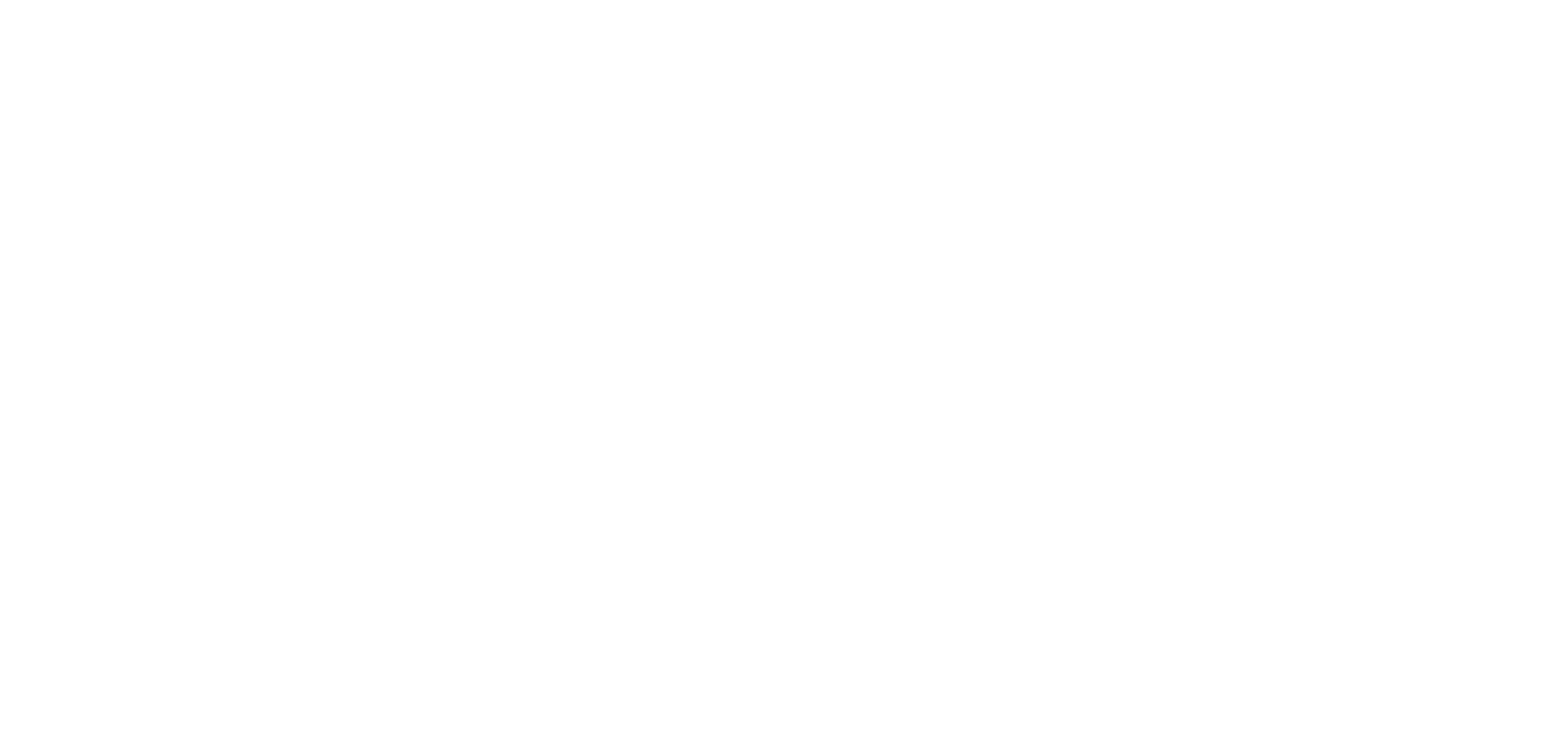 Logo iB.Services